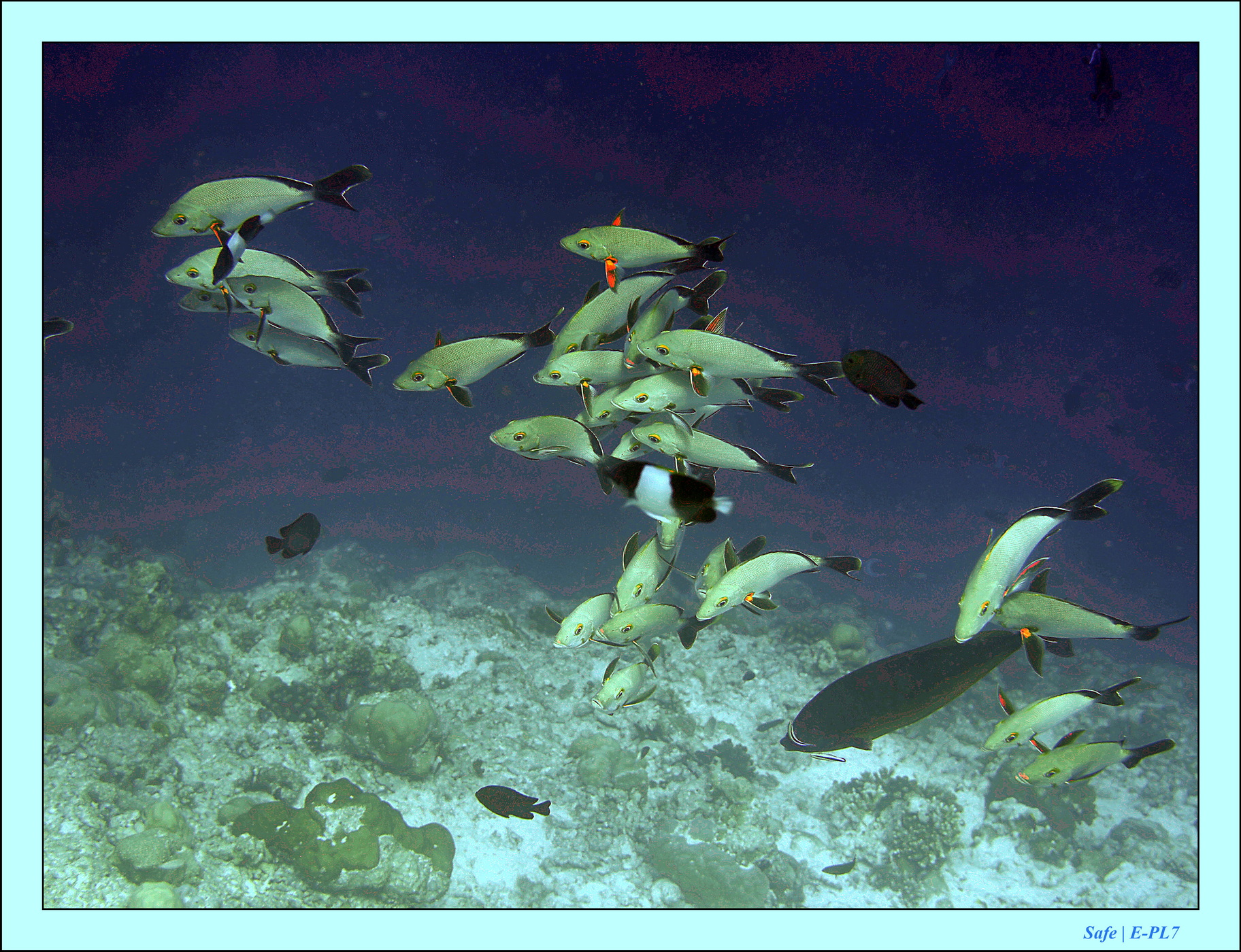 2023 - 07 - Sandies Bathala - 193